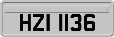 HZI1136