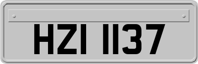 HZI1137
