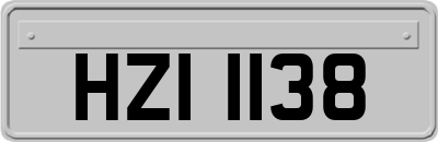 HZI1138