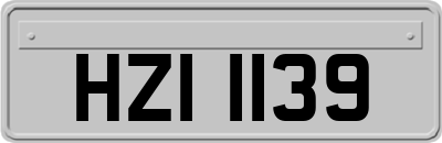 HZI1139
