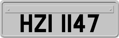 HZI1147
