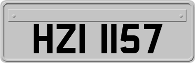 HZI1157