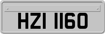 HZI1160