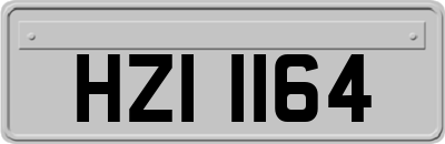 HZI1164