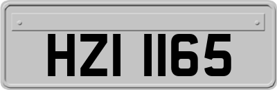 HZI1165