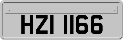 HZI1166