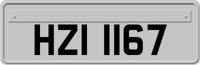 HZI1167