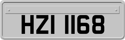 HZI1168