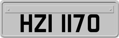 HZI1170