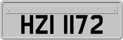 HZI1172