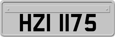 HZI1175