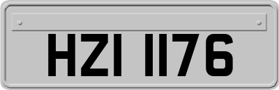 HZI1176