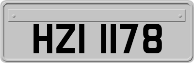 HZI1178