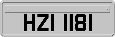 HZI1181