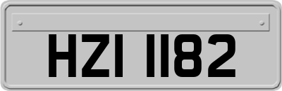 HZI1182