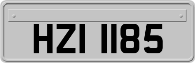 HZI1185