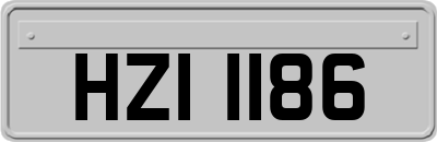 HZI1186