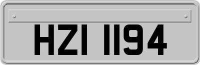 HZI1194