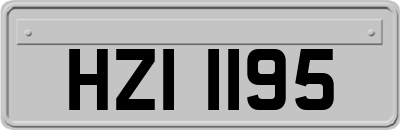 HZI1195