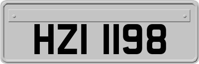 HZI1198