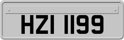 HZI1199
