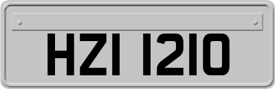 HZI1210