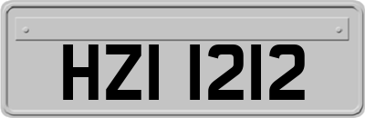 HZI1212