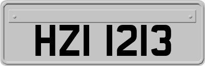 HZI1213