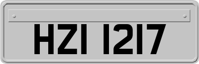 HZI1217