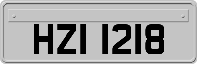 HZI1218