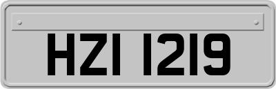 HZI1219