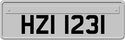 HZI1231
