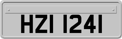 HZI1241