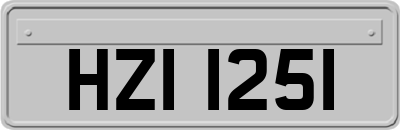 HZI1251