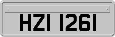 HZI1261