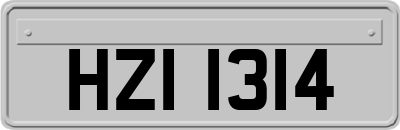 HZI1314