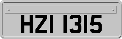 HZI1315