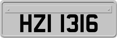 HZI1316
