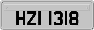 HZI1318