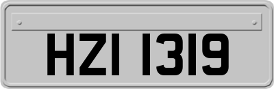 HZI1319