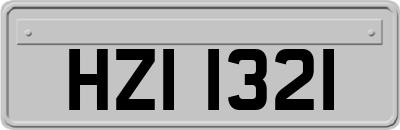 HZI1321