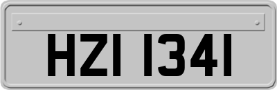 HZI1341