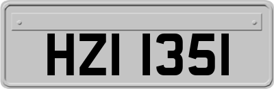HZI1351