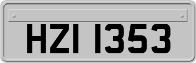 HZI1353