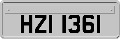 HZI1361