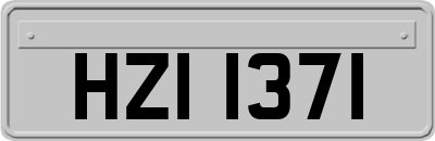 HZI1371