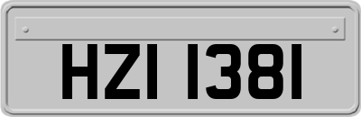 HZI1381