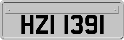 HZI1391