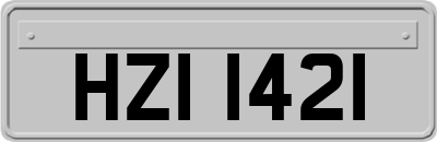 HZI1421