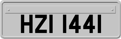 HZI1441
